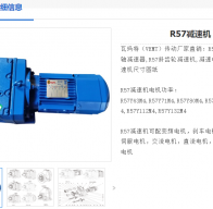 R57DRE80M4 BE1/HF/TH/IS減速電機(jī)型號(hào)解析