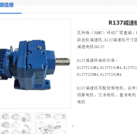 R137-80.91-D160L4-15KW-M1減速電機(jī)型號解析