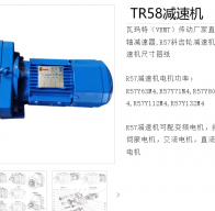 TR58-YPEJ0.55-4-120.63-M1-0°減速電機型號解析