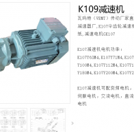 K109-LHN100LD4PF\i=126\無逆止器\M4減速電機(jī)型號解析