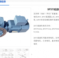 GSF57-110.73-YEJ-0.75KW-4P-A-M1-0減速電機型號解析